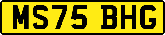MS75BHG