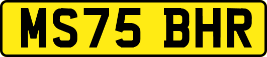 MS75BHR