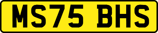 MS75BHS