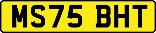 MS75BHT