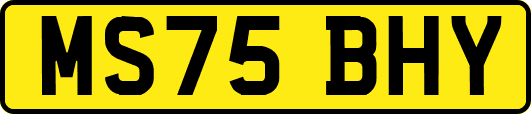 MS75BHY