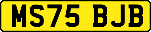 MS75BJB