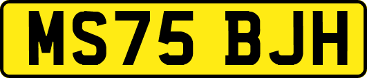 MS75BJH