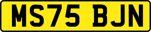 MS75BJN