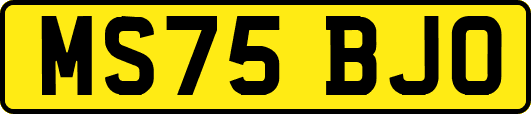MS75BJO