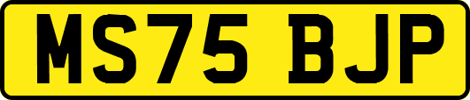 MS75BJP
