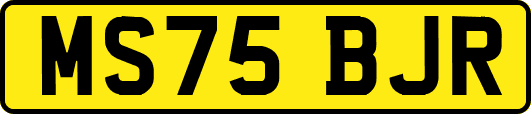 MS75BJR