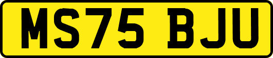 MS75BJU