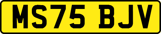 MS75BJV