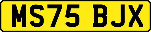 MS75BJX