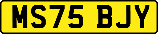 MS75BJY