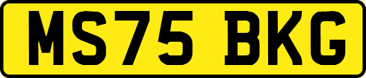 MS75BKG