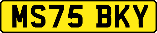 MS75BKY