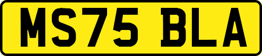 MS75BLA