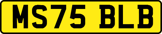 MS75BLB