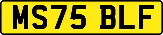 MS75BLF