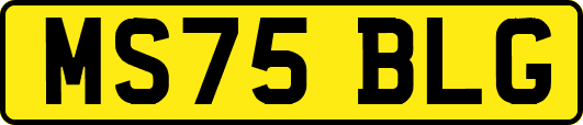 MS75BLG