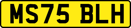 MS75BLH