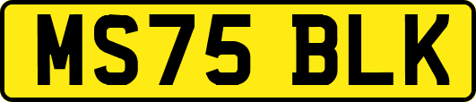 MS75BLK