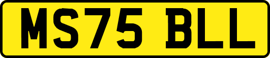 MS75BLL
