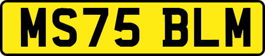 MS75BLM