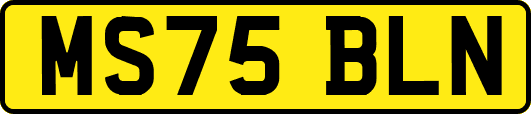 MS75BLN