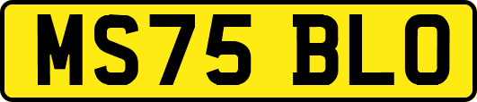 MS75BLO