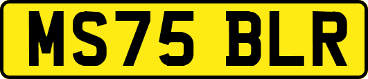 MS75BLR