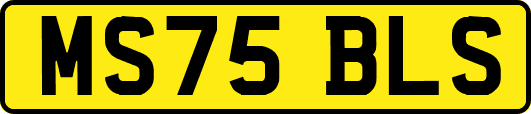 MS75BLS