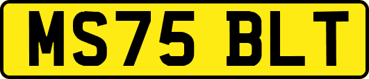 MS75BLT