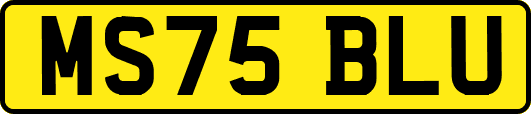 MS75BLU