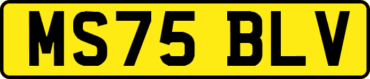 MS75BLV