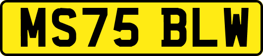 MS75BLW