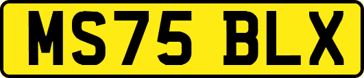 MS75BLX