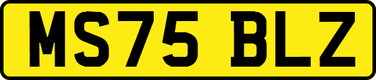 MS75BLZ