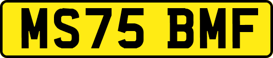 MS75BMF