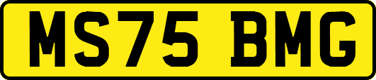 MS75BMG