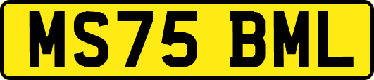MS75BML