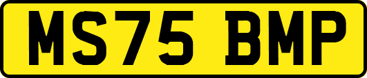 MS75BMP
