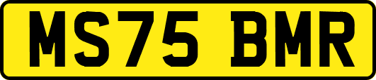 MS75BMR