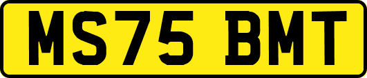 MS75BMT