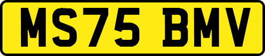 MS75BMV
