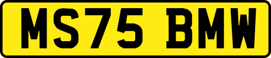MS75BMW