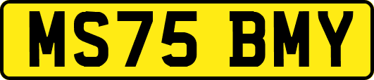 MS75BMY