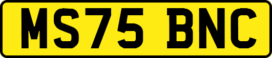 MS75BNC