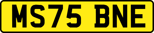MS75BNE