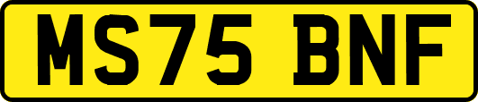 MS75BNF