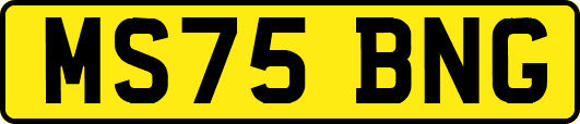 MS75BNG