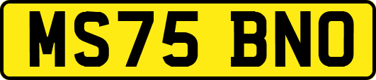 MS75BNO