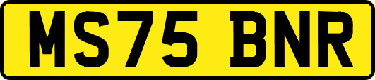 MS75BNR